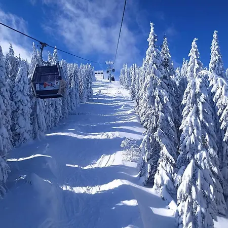 Pahulja Bela Reka Kopaonik *