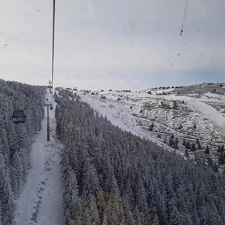 Pahulja Bela Reka Kopaonik Brzeće