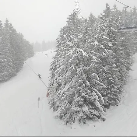 Pahulja Bela Reka Kopaonik Appartement