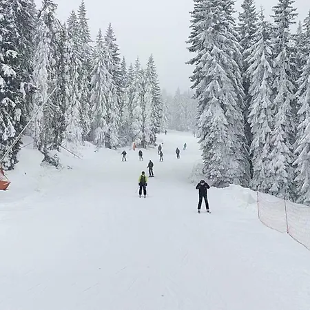 Pahulja Bela Reka Kopaonik Appartement *