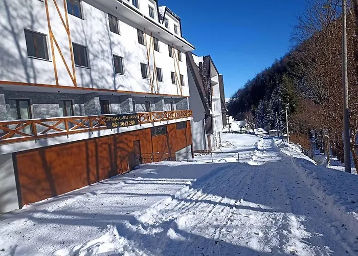 Pahulja Bela Reka Kopaonik *