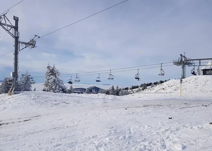 Apartament Pahulja Bela Reka Kopaonik *