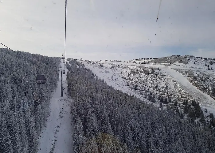 Pahulja Bela Reka Kopaonik Brzeće
