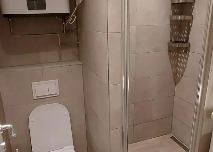 Pahulja Bela Reka Kopaonik