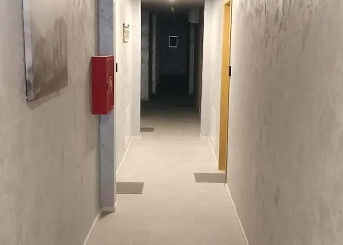 Pahulja Bela Reka Kopaonik Apartament *