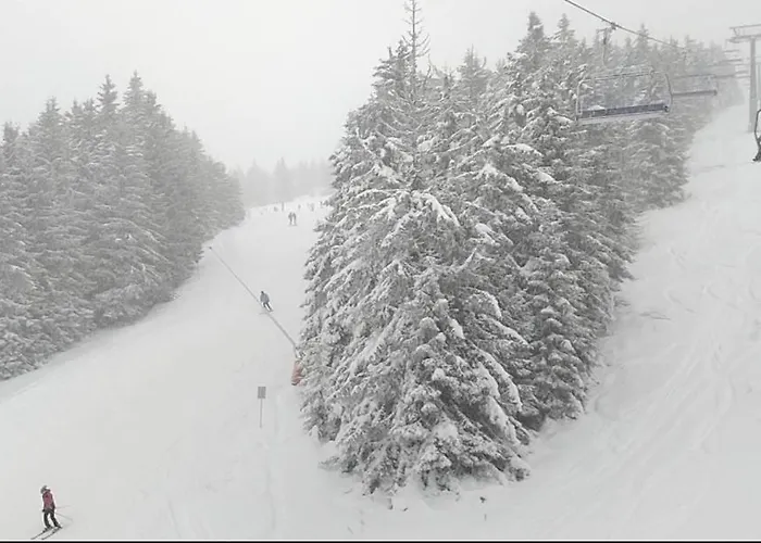 Pahulja Bela Reka Kopaonik Apartament