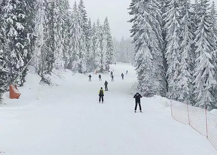 Pahulja Bela Reka Kopaonik Apartament *